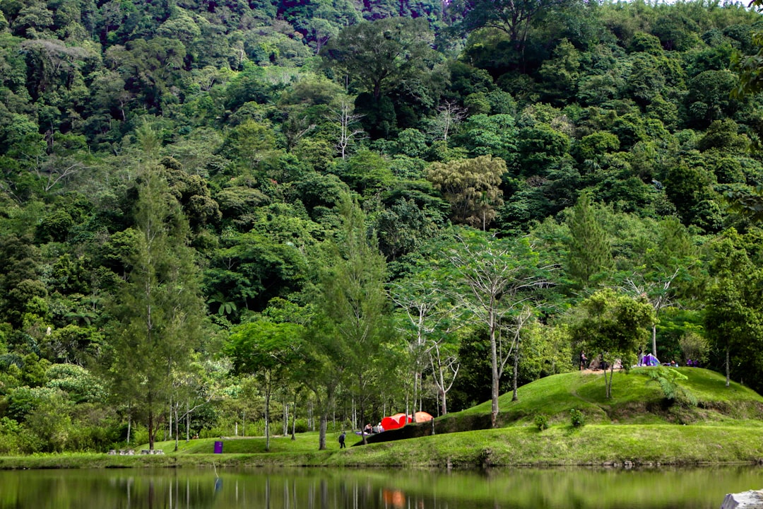 Экологически чистые туры: экотуризм и охрана природы