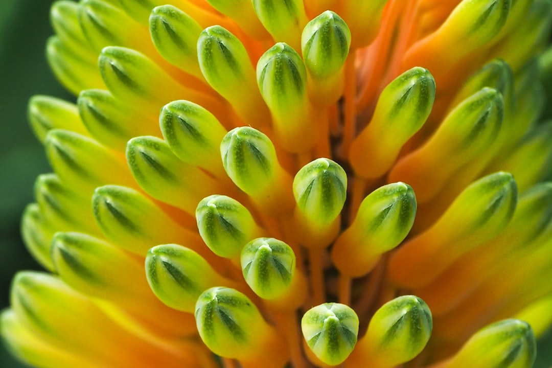 Экзотические растения и животные: где увидеть уникальную флору и фауну