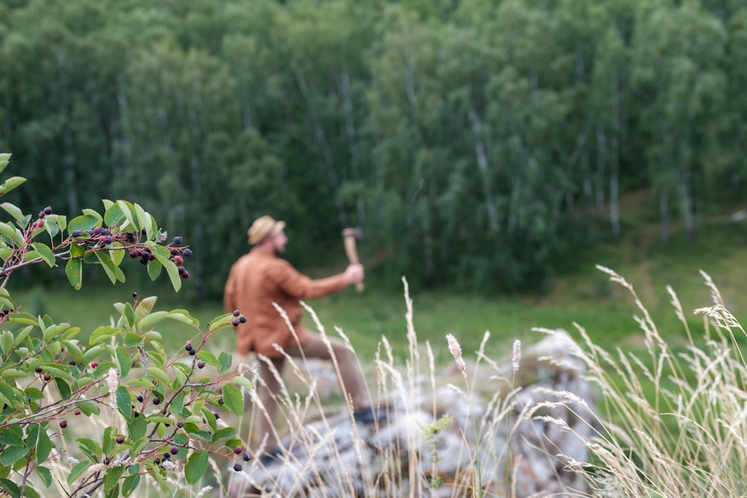 Фотосафари: охота за лучшими кадрами в природе