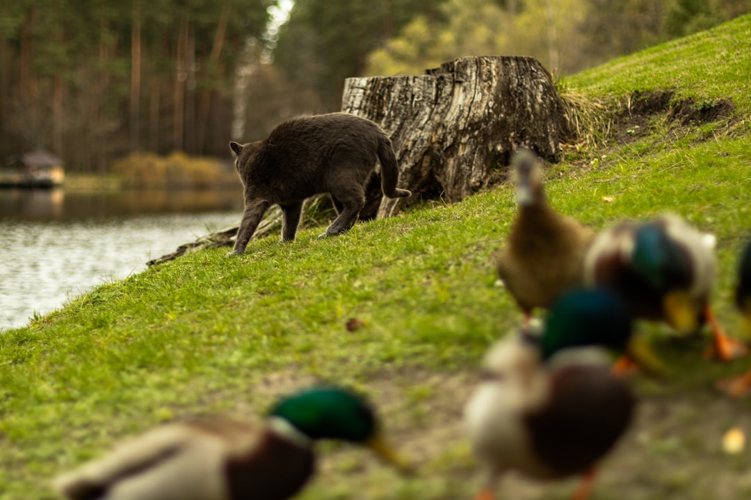 Фотосафари: охота за лучшими кадрами в природе