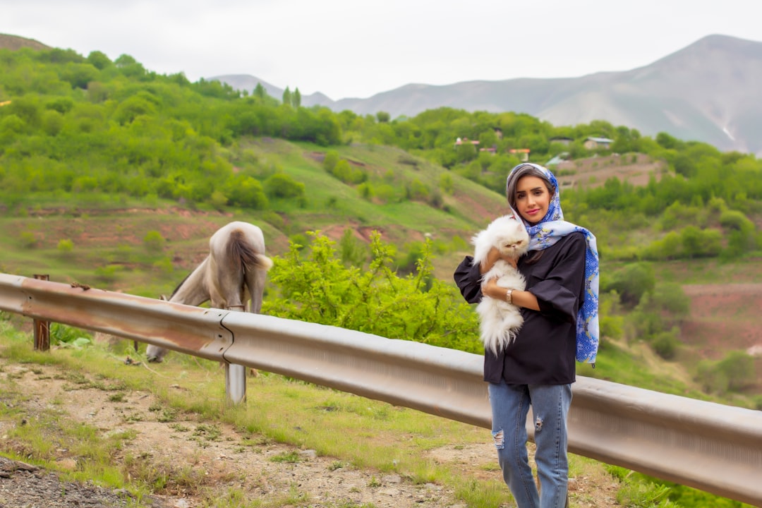 Как путешествовать с животными: питомцы на отдыхе