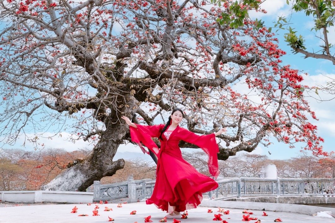 Путешествие в мире экзотических танцев