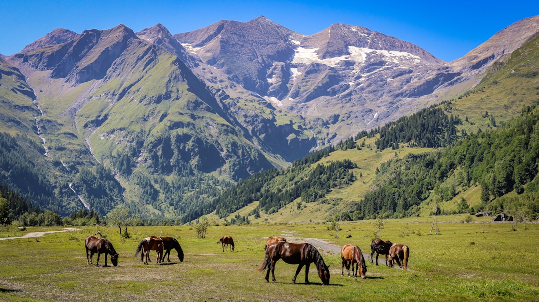 Путеводитель по миру национальных парков и заповедников