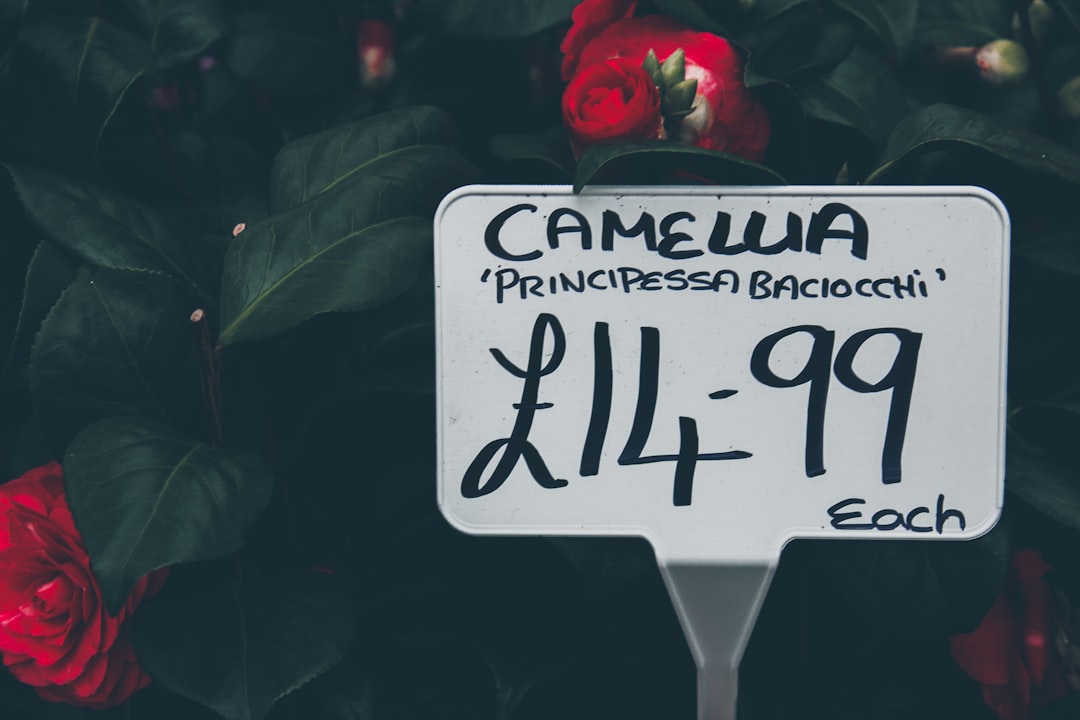 Самые красивые парки и сады мира
