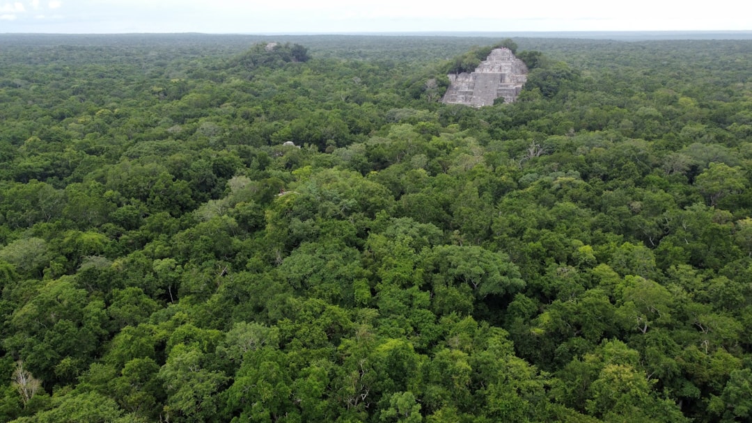 Экологически чистые туры: экотуризм и охрана природы