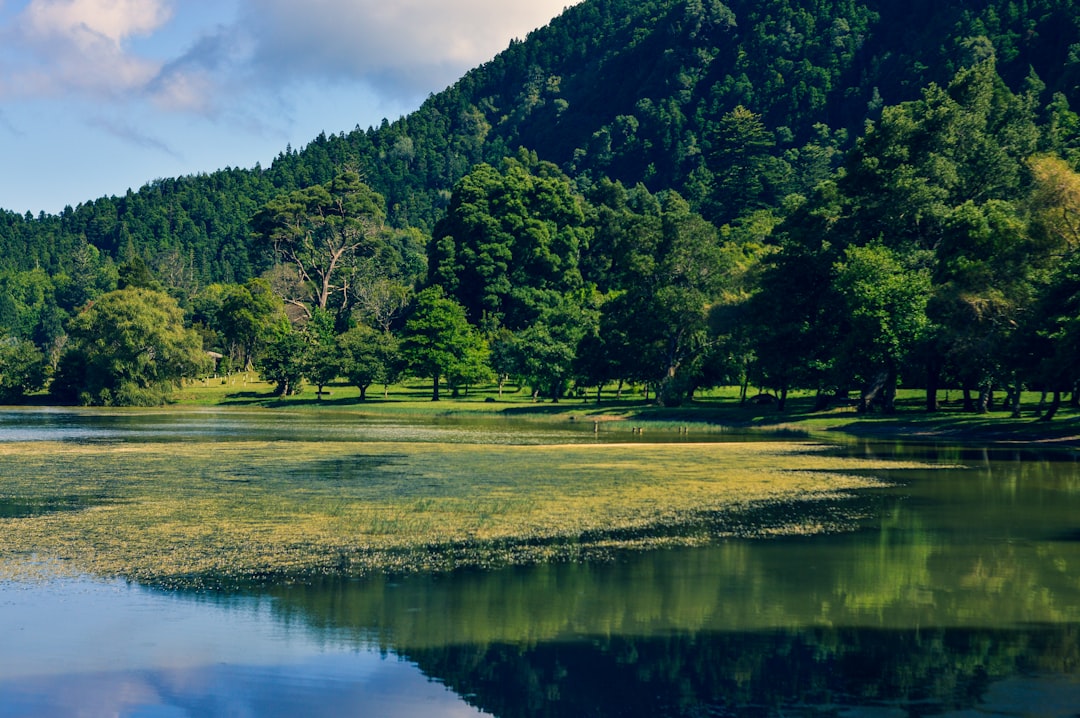 Экологически чистые туры: экотуризм и охрана природы