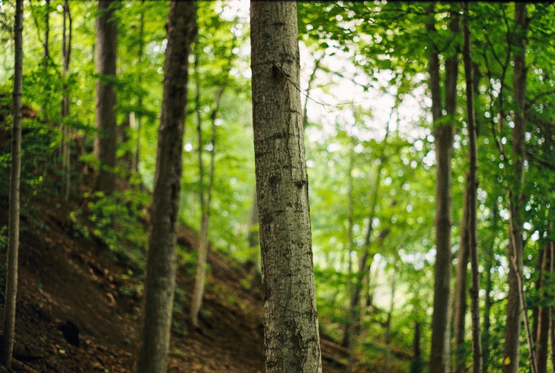 Экологически чистые туры: экотуризм и охрана природы