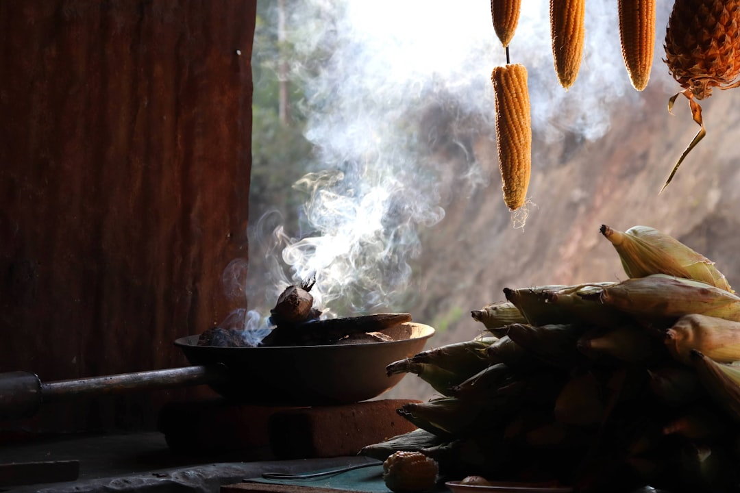 Экзотические кулинарные приключения вокруг света