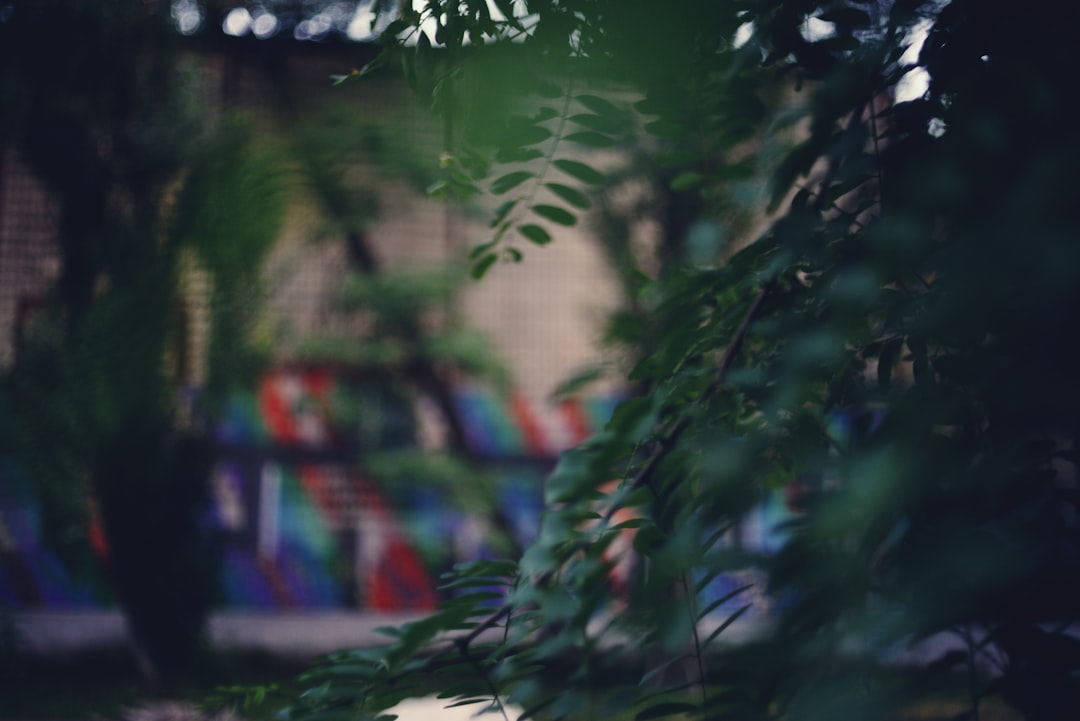 Экзотические места для дайвинга