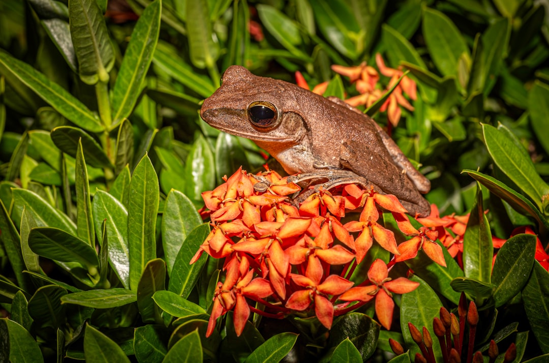 Экзотические растения и животные: где увидеть уникальную флору и фауну