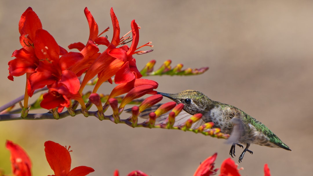 Экзотические растения и животные: где увидеть уникальную флору и фауну