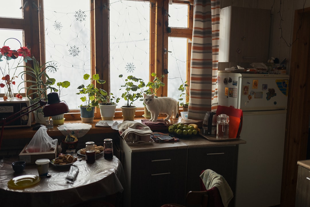 Гастрономический тур по кухне Скандинавии