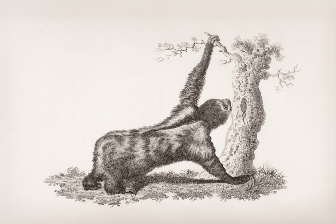 Исследование древних мегалитов и дольменов