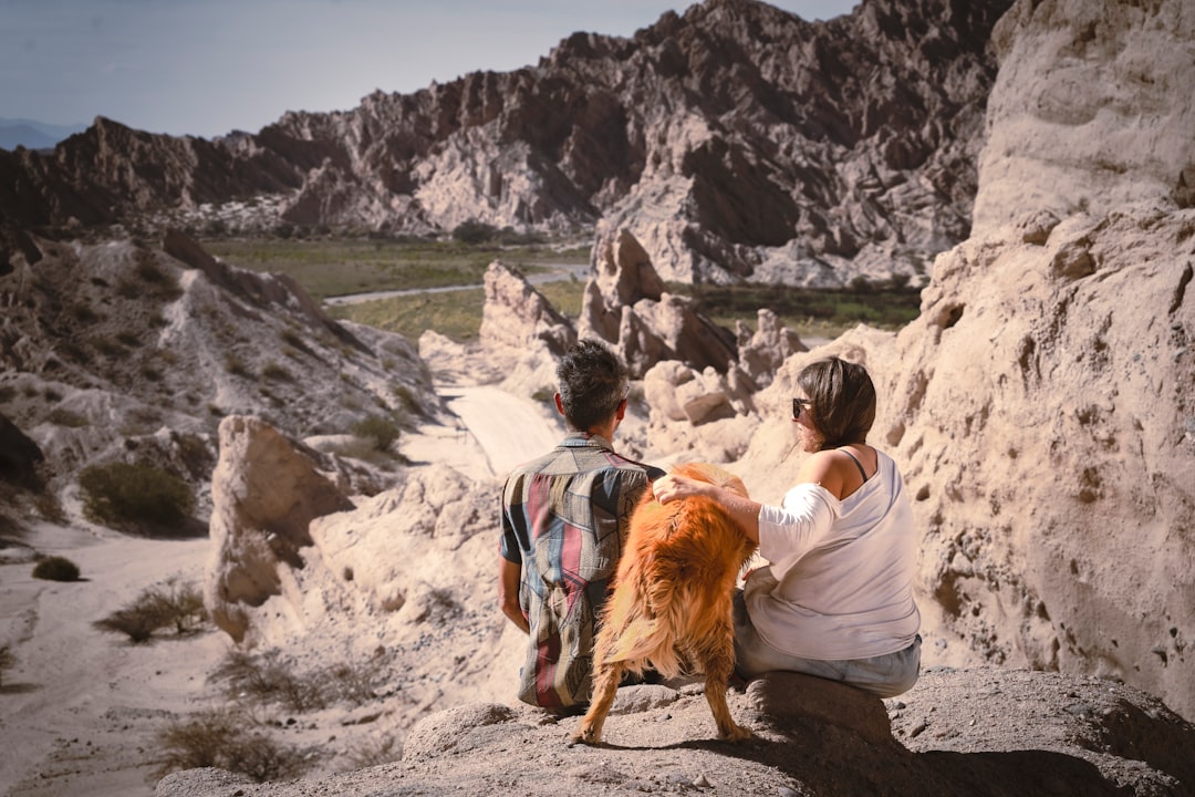 Как путешествовать с животными: питомцы на отдыхе