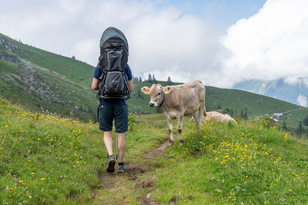 Как путешествовать с животными: питомцы на отдыхе