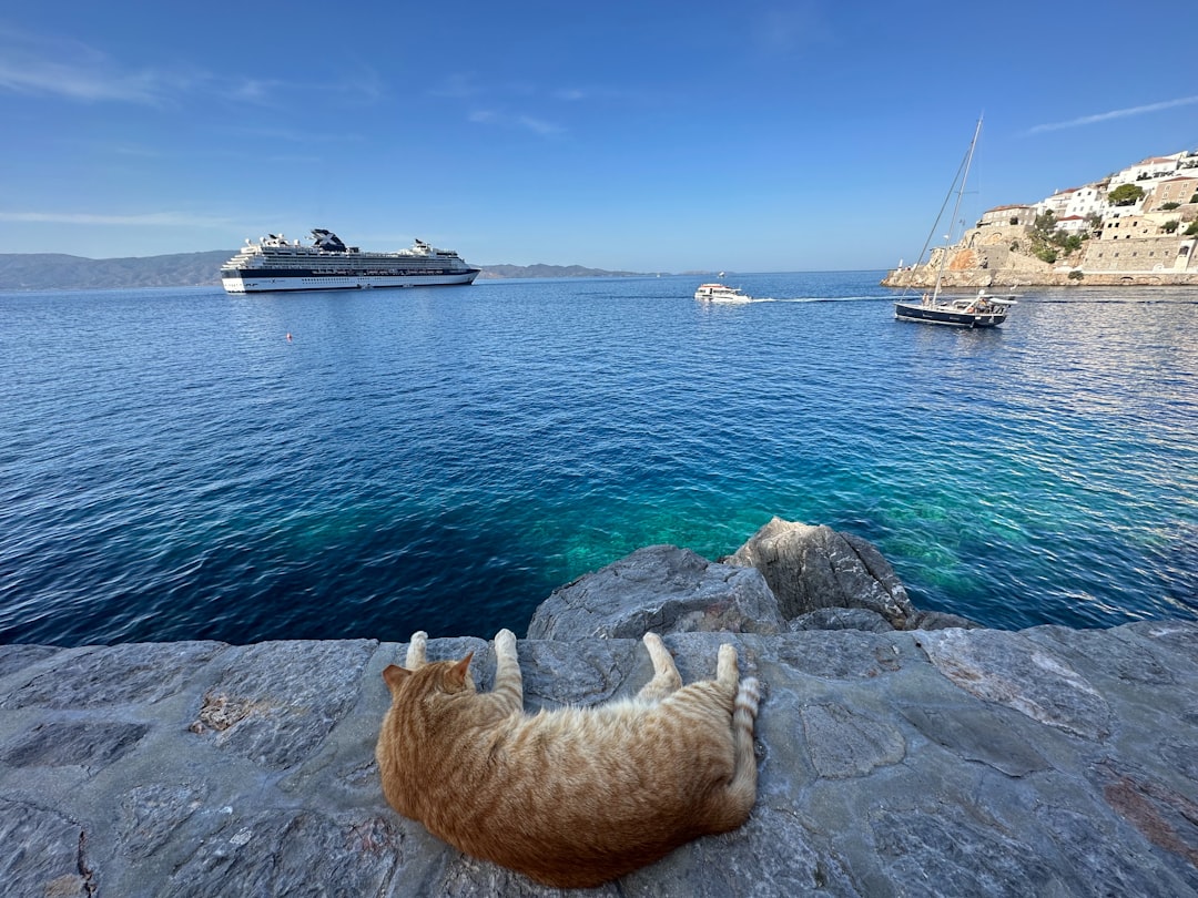 Как путешествовать с животными: питомцы на отдыхе