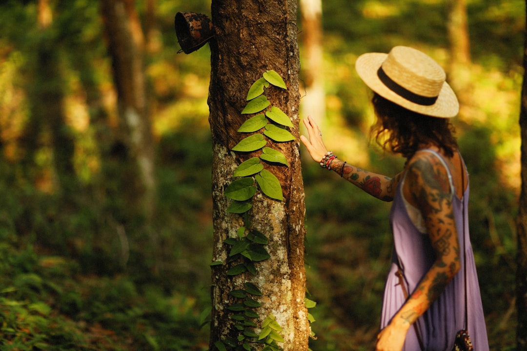 Как сохранить экологию во время путешествий: экотуризм и ответственный отдых