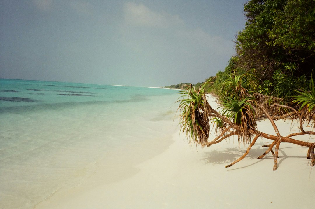 Островные приключения: Мальдивы и Маврикий