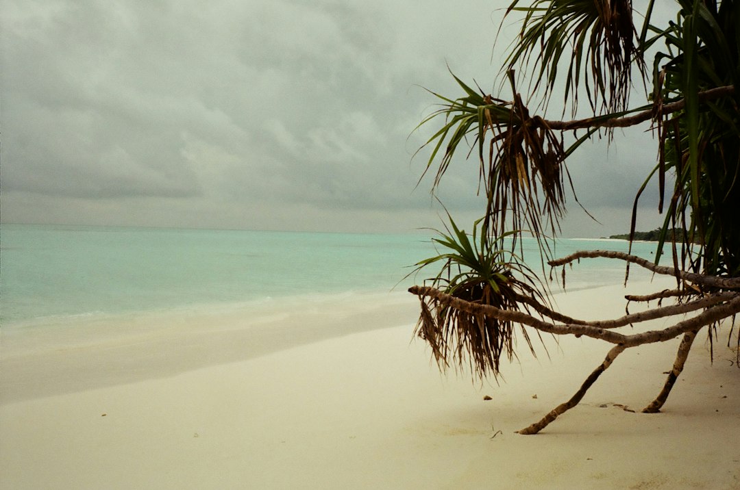 Островные приключения: Мальдивы и Маврикий