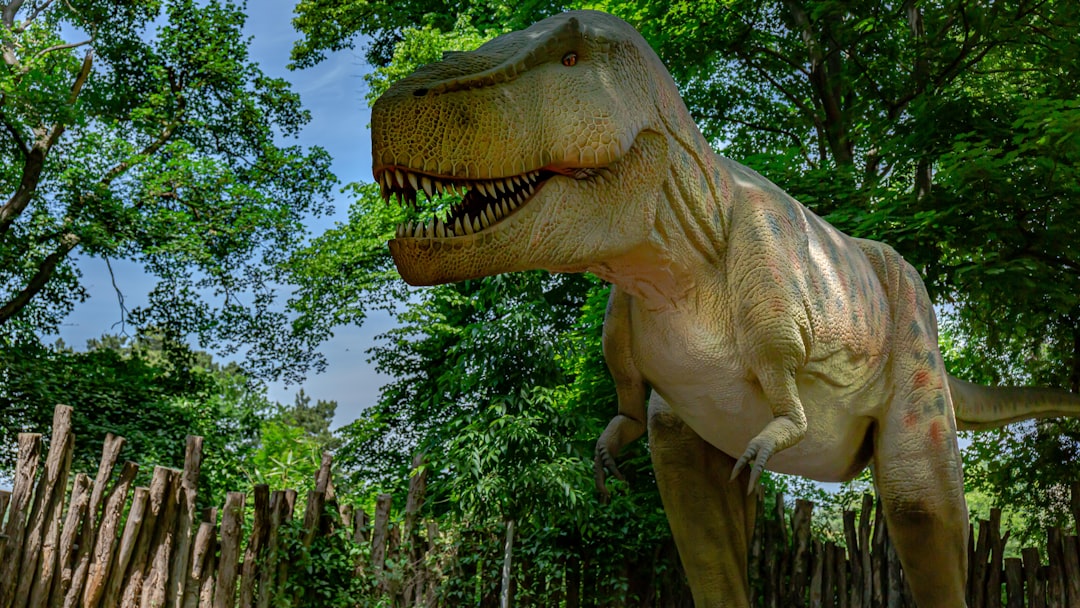 По следам динозавров: палеонтологические находки и парки