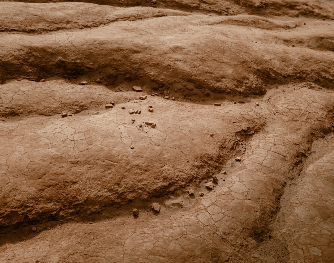 По следам древних цивилизаций: археологические открытия