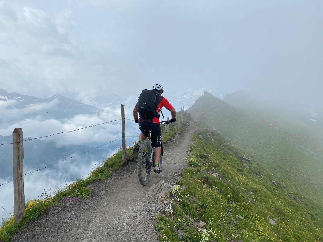 Приключения на велосипедах по горным тропам