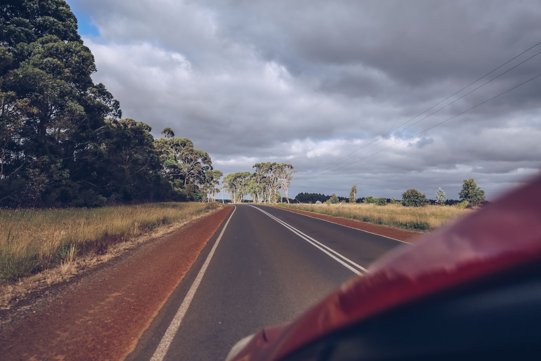 Путешествие на автомобиле: дорожные приключения