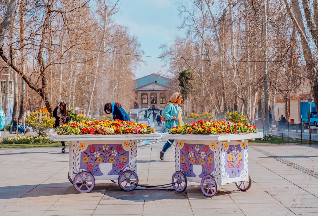 Путешествие на карнавалы и фестивали цветов