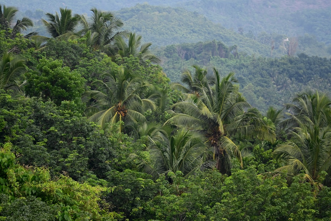 Путешествие на катамаранах по тропическим островам
