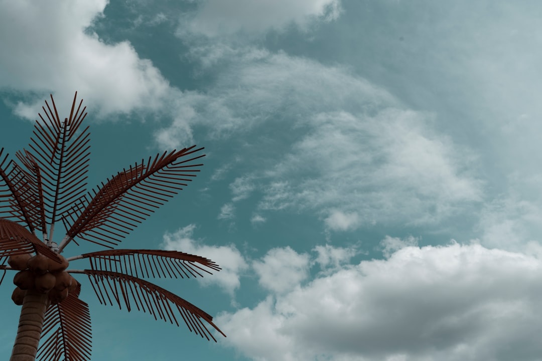 Путешествие на крыльях ветра: парапланеризм и дельтапланеризм