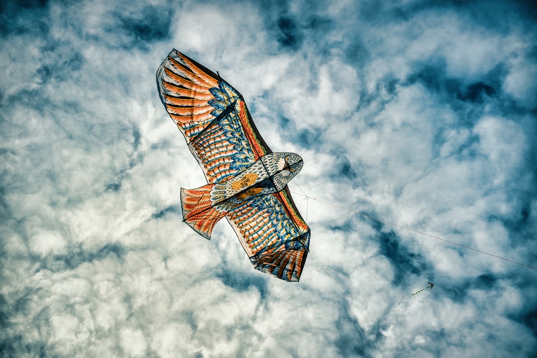 Путешествие на крыльях ветра: парапланеризм и дельтапланеризм