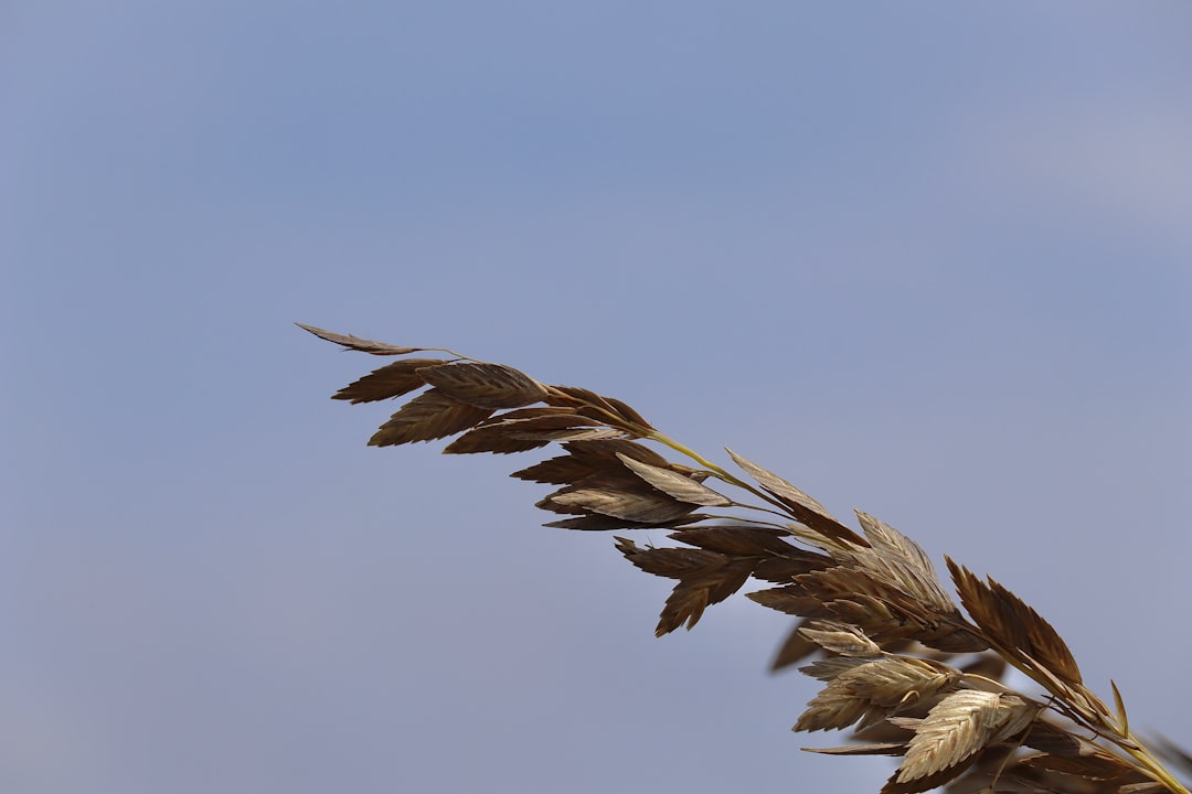 Путешествие на крыльях ветра: парапланеризм и дельтапланеризм