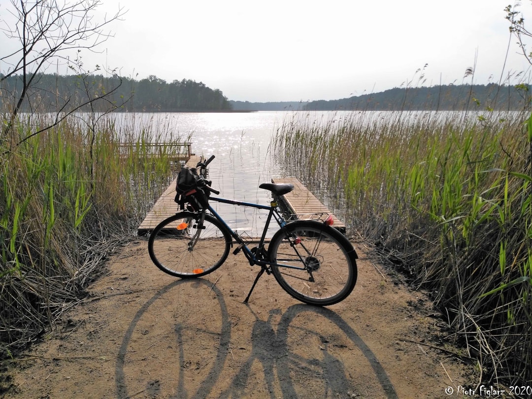 Путешествие на велосипедах по берегам озер