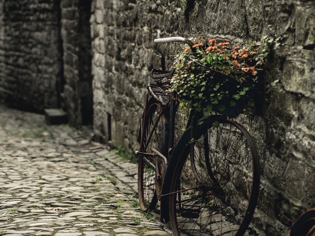 Путешествие на велосипедах по историческим тропам