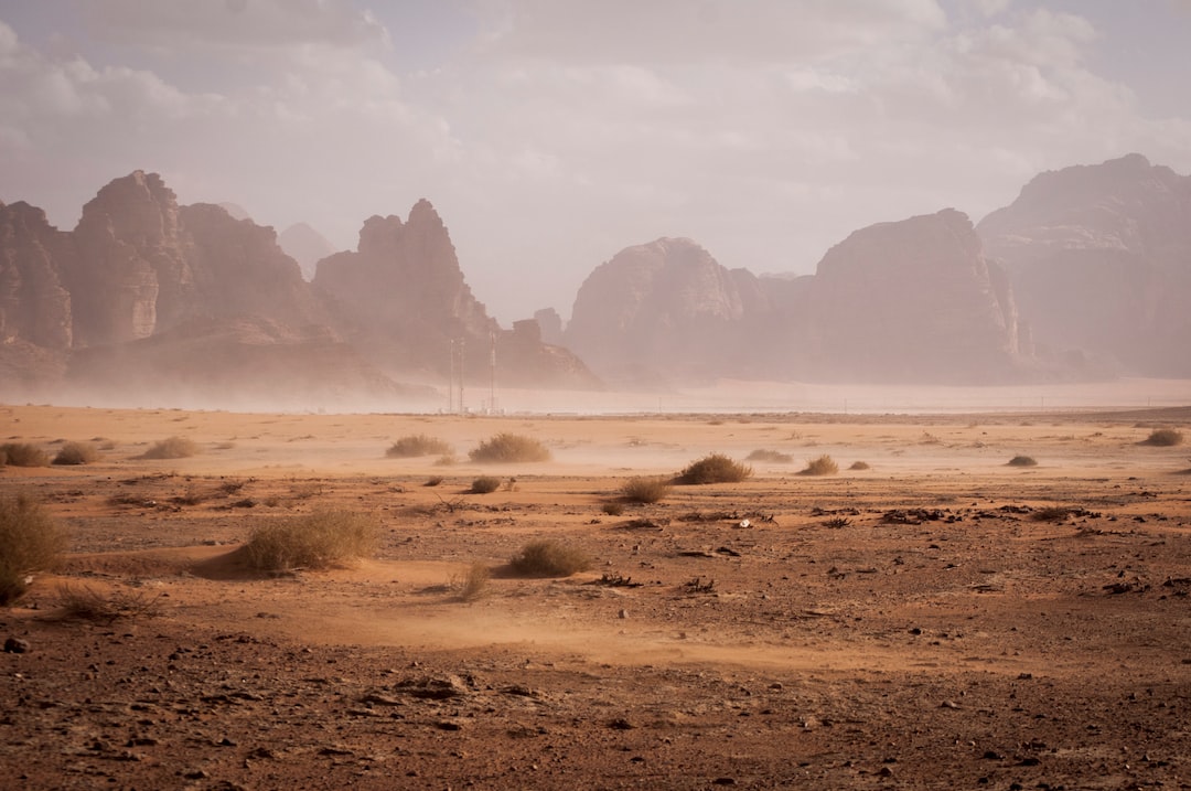 <strong>Путешествие на верблюдах в пустыню Гоби</strong>