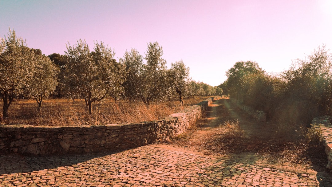 Путешествие по древним торговым маршрутам