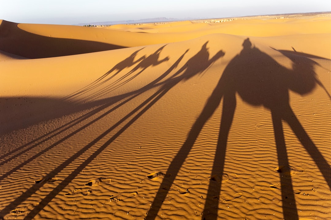 Путешествие по пустыням мира: от Сахары до Атакамы