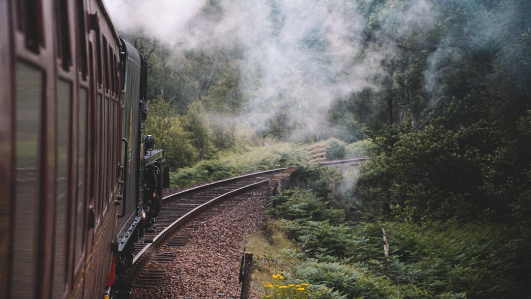 Путешествие по самым необычным поездам мира