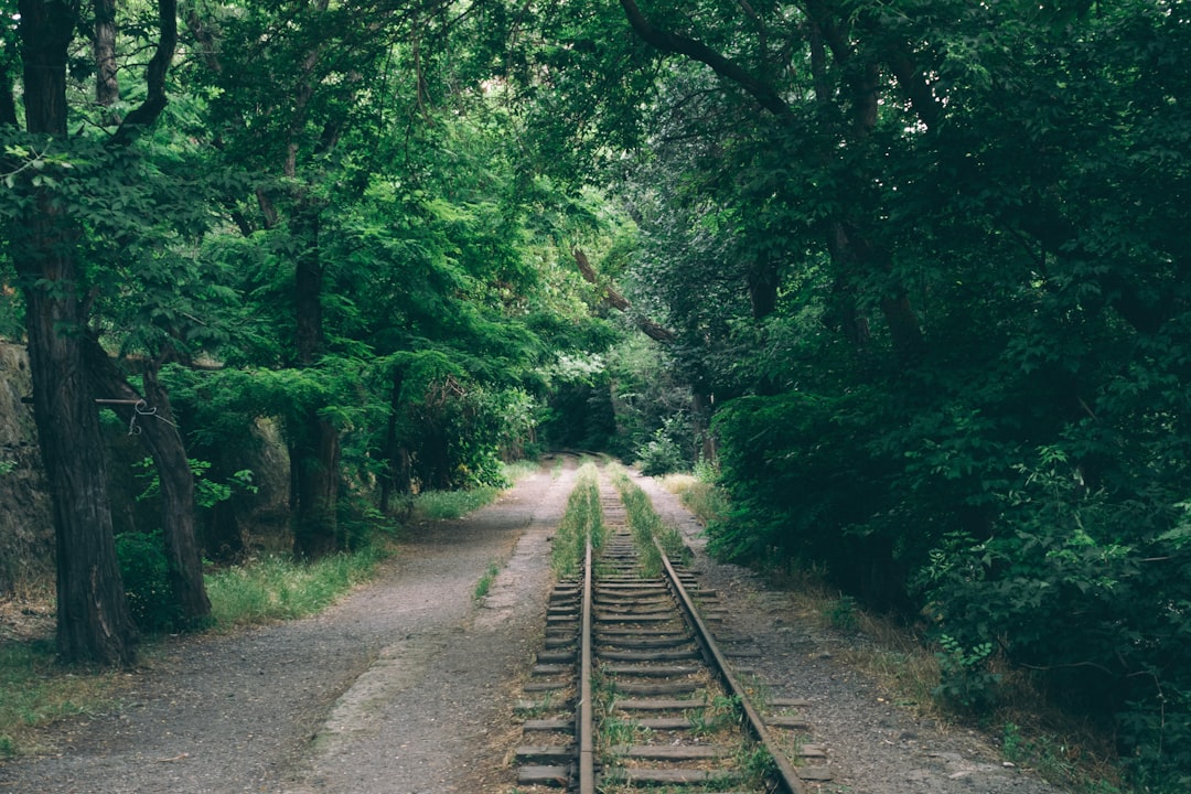 Путешествие по старинным железным дорогам
