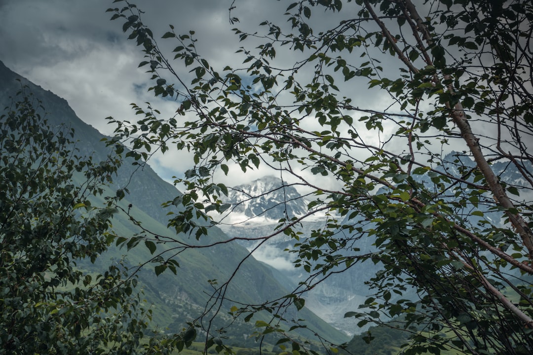 Путешествие в мир высоких гор: Гималаи и Анды