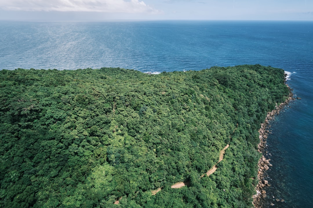 Путешествие в мире экологического туризма: от гор до океанов