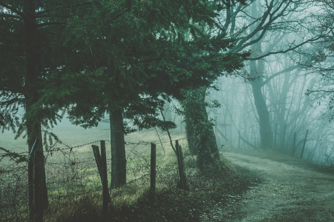 Путешествие в мире страшных мест: призраки, проклятия, загадочные явления