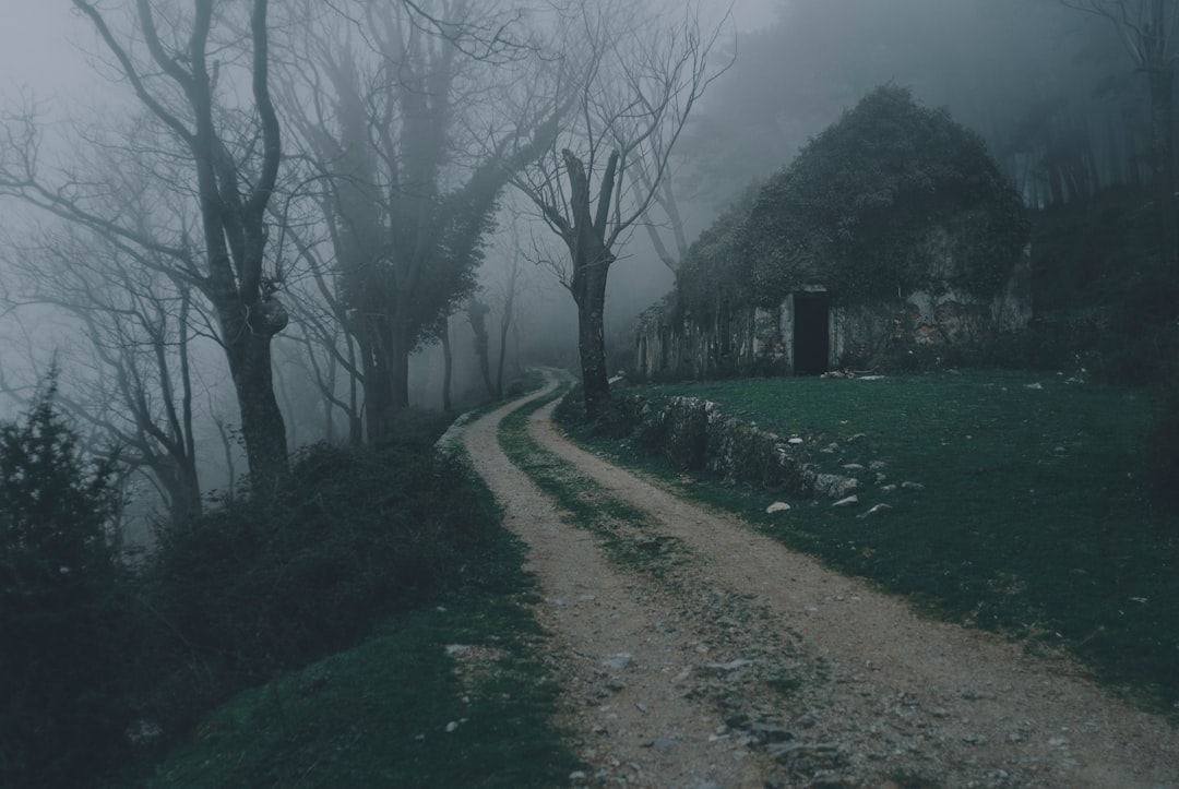 Путешествие в мире страшных мест: призраки, проклятия, загадочные явления