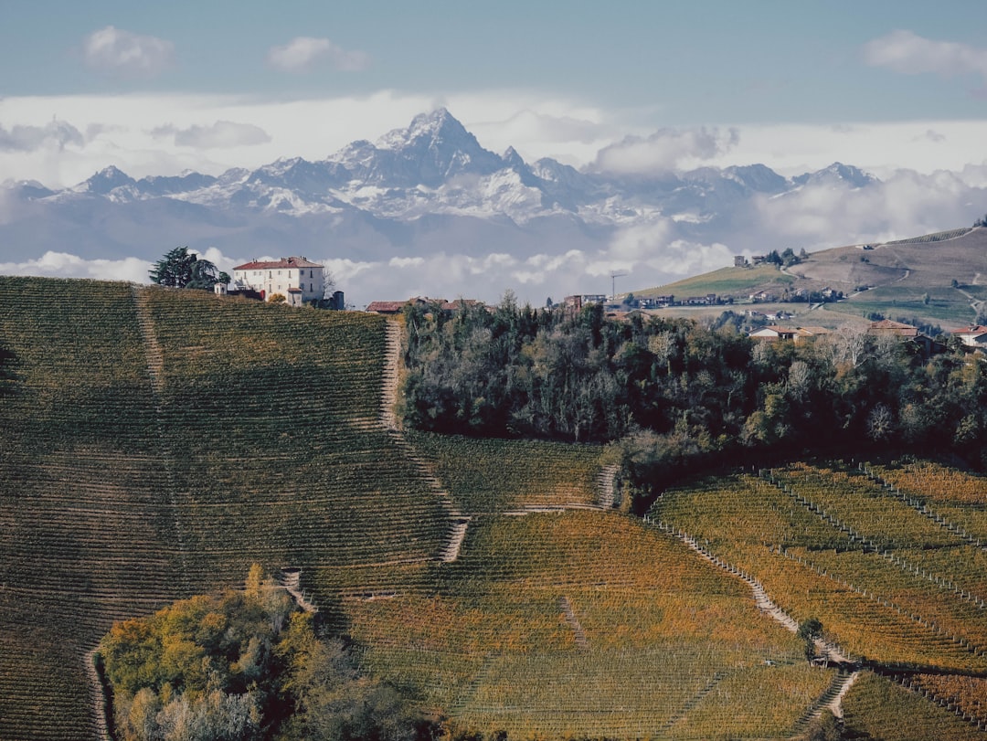 Путешествие в страны с богатой историей вина