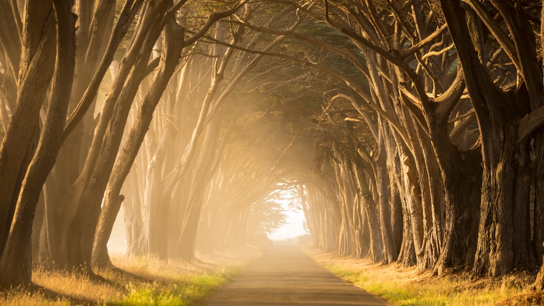 Путешествие вдоль и поперек Старого Света