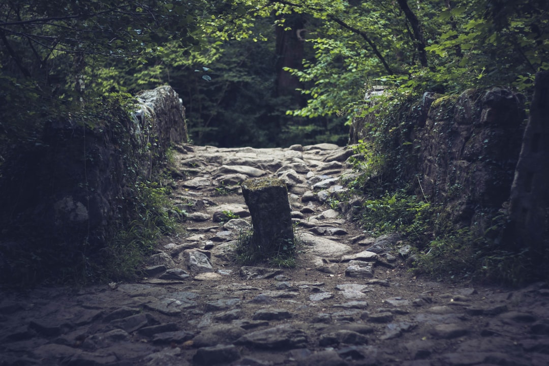 Путешествие вдоль и поперек Старого Света