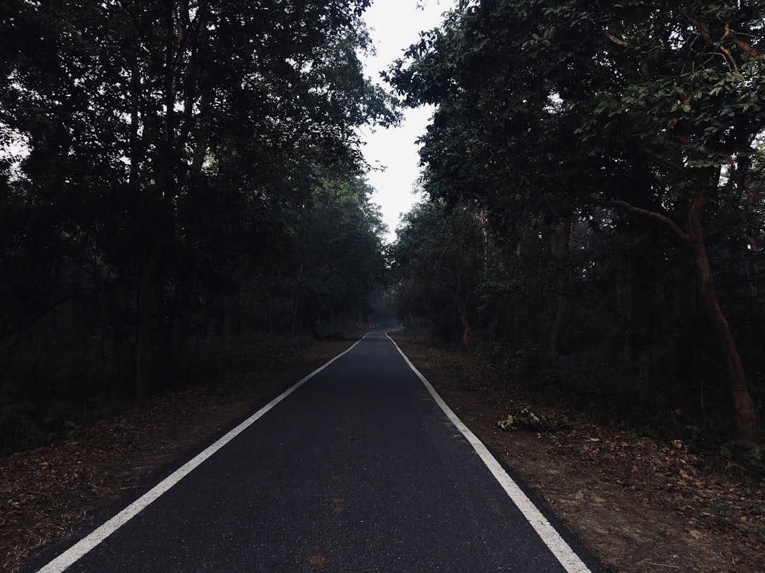 Путешествие вдоль Великого шёлкового пути