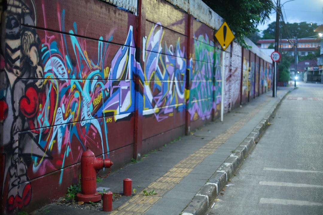 Путеводитель по миру искусства уличного граффити