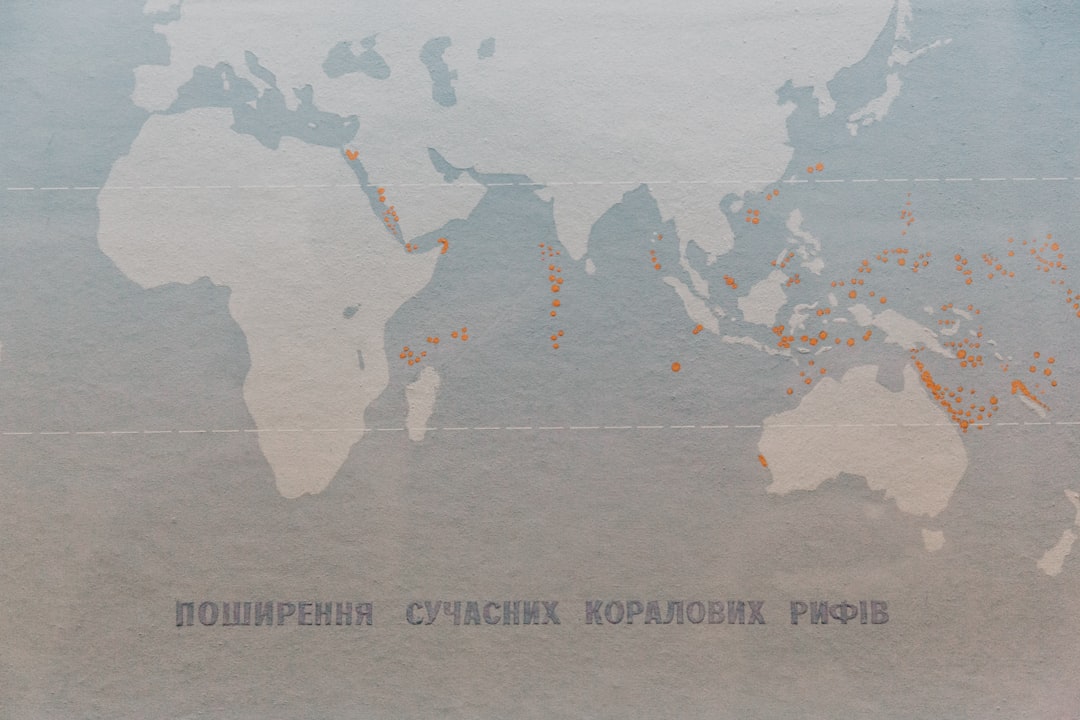 Путеводитель по миру мировой кулинарии