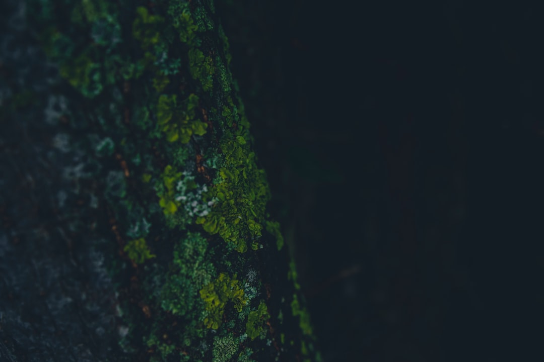 Путеводитель по самым экзотическим рынкам мира